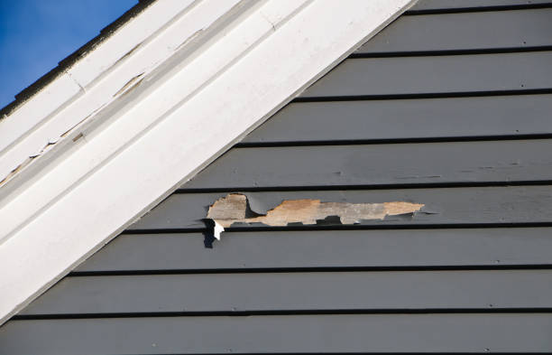 Best Construction Debris Removal  in Lacoochee, FL